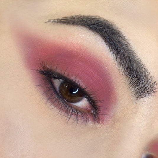 Sombra Cremosa Lily of the Nile