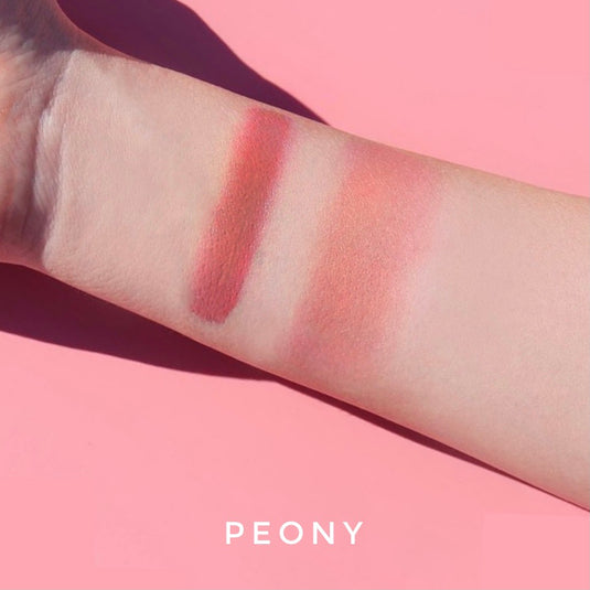 Rubor Peony